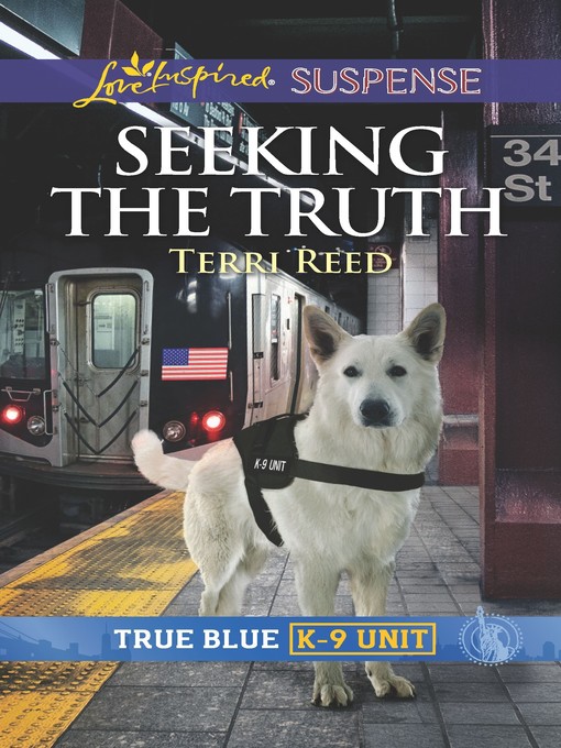 Title details for Seeking the Truth by Terri Reed - Wait list